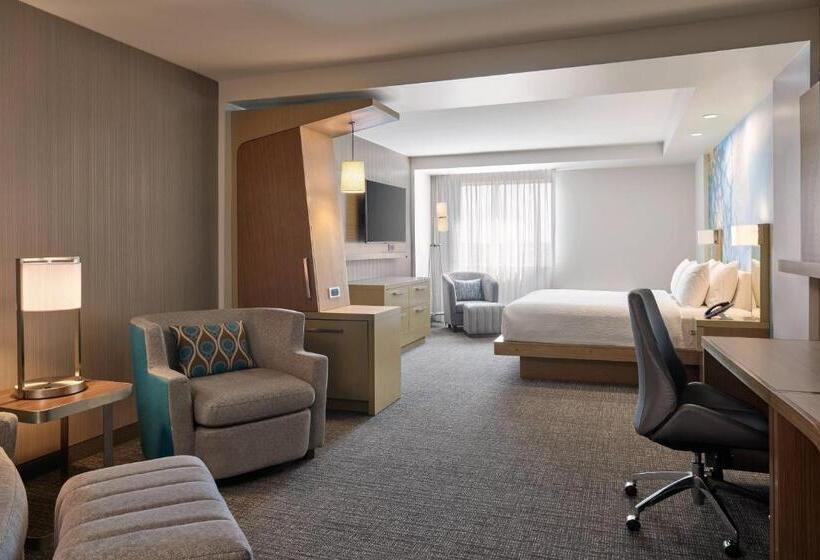 Люкс Кровать Кинг, Courtyard Denver Aurora