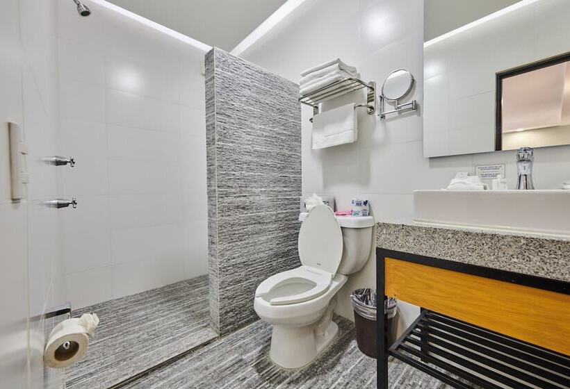 סוויטה עם ג'קוזי, Best Western Plus Gran Hotel Centro Historico