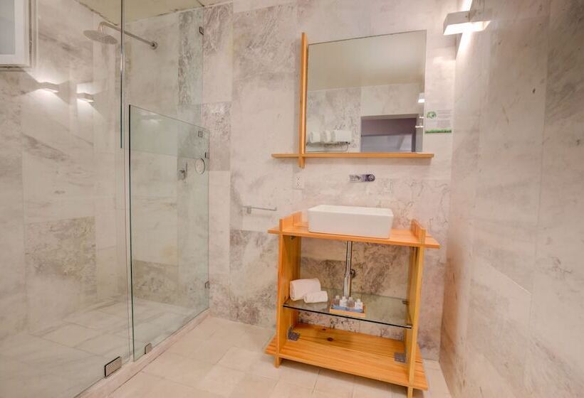 Chambre Supérieure, Clarum 101