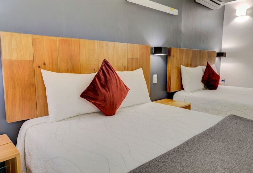 Chambre Supérieure, Clarum 101