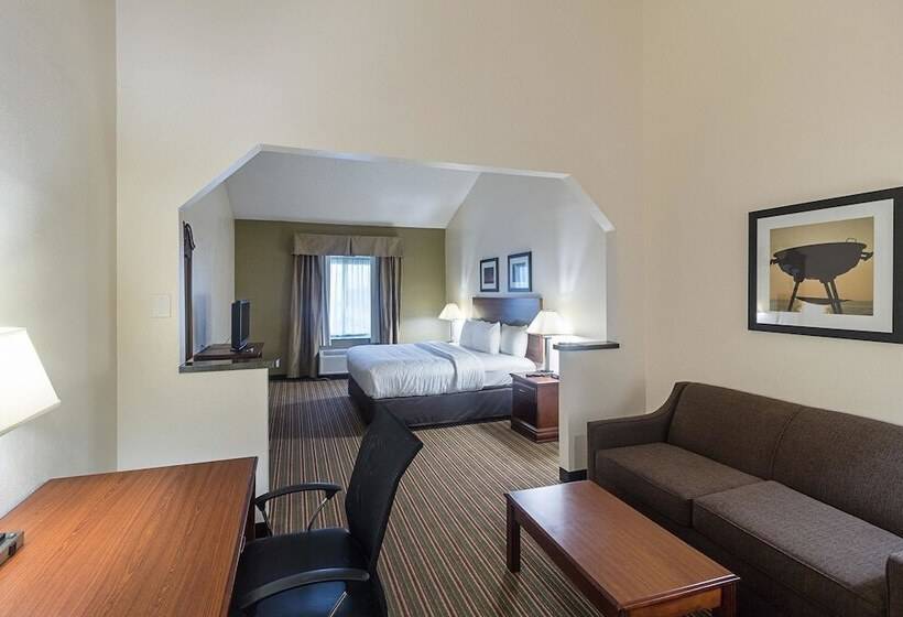Suite Adaptată pentru Discapacitaţi, Quality Inn & Suites West Chase