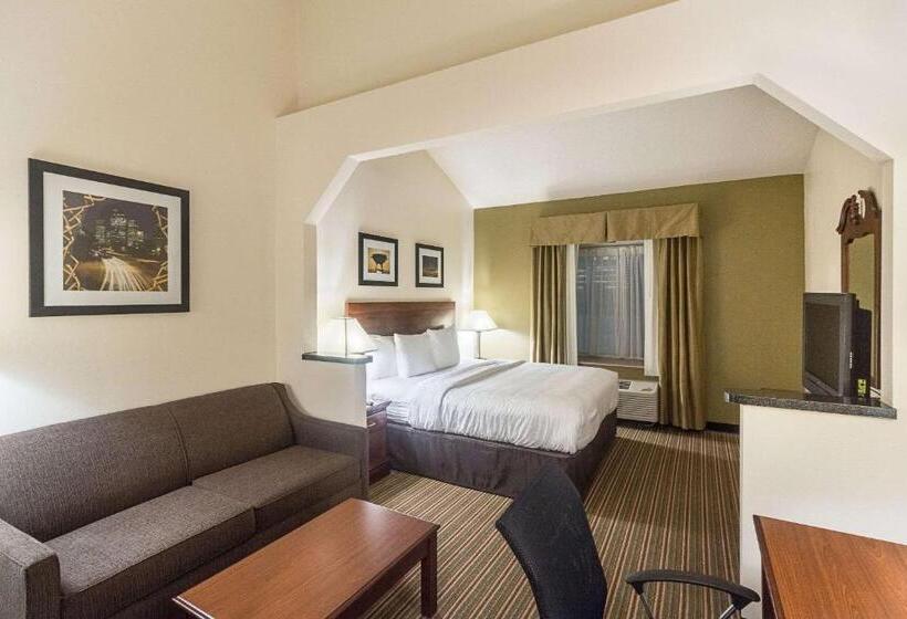 Cameră Standard Pat King Size, Quality Inn & Suites West Chase