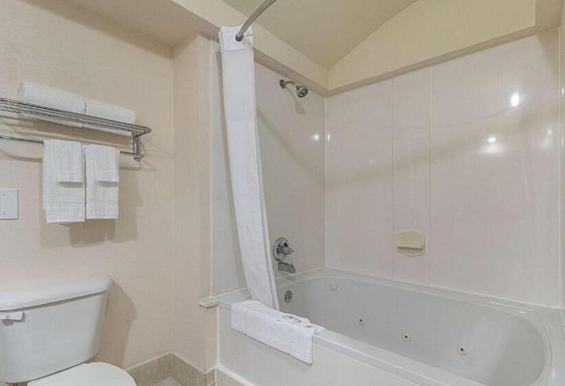 Suite Adaptată pentru Discapacitaţi, Quality Inn & Suites West Chase