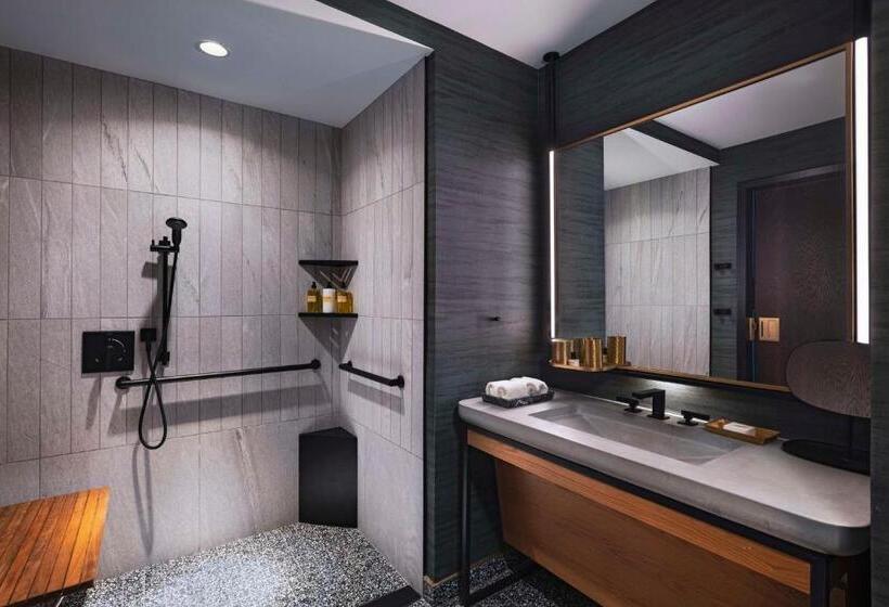 اتاق استاندارد با تخت بزرگ برای معلولان, Thompson Austin, By Hyatt