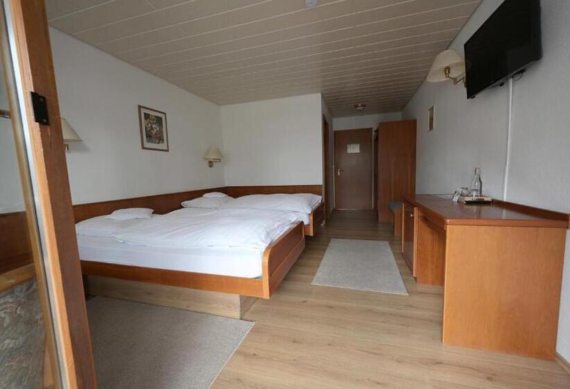 Номер Стандарт с Балконом, Landhotel Hirsch
