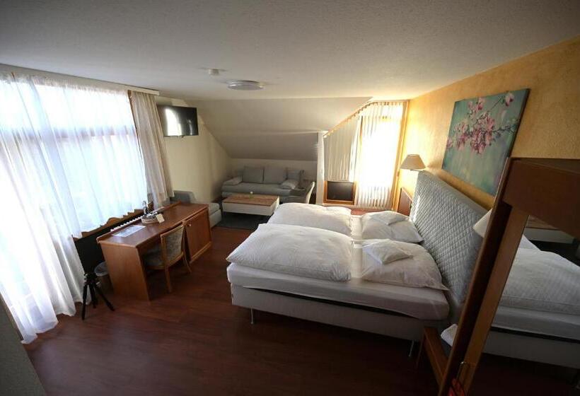 Студио Стандарт с Балконом, Landhotel Hirsch