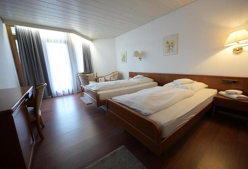 Номер Стандарт Адаптированный для Инвалидов, Landhotel Hirsch