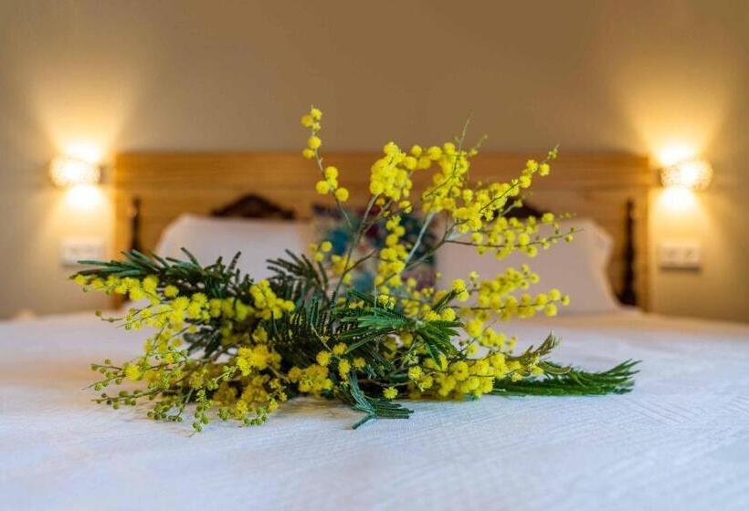 Апартаменты 1 Спальня с Видом, O Viso Ecovillage   Hotel Ecologico Vegano
