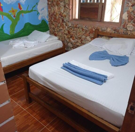 اتاق استاندارد سه نفره, Hostal Belleza Tropical