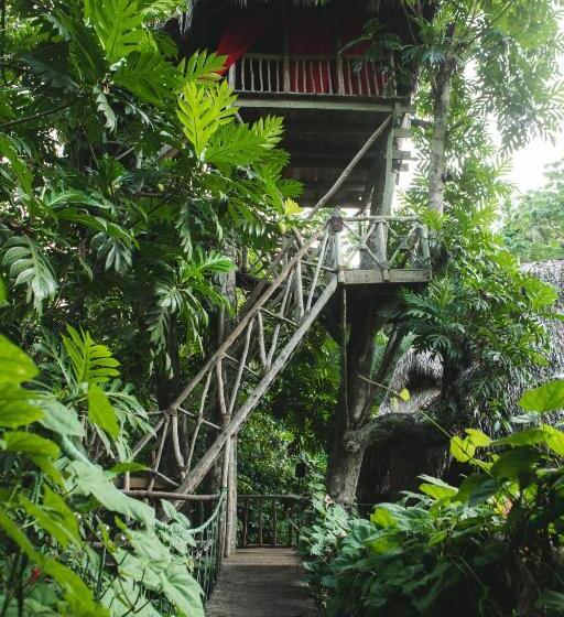 اتاق استاندارد با چشم‌انداز باغ, Dominican Tree House Village
