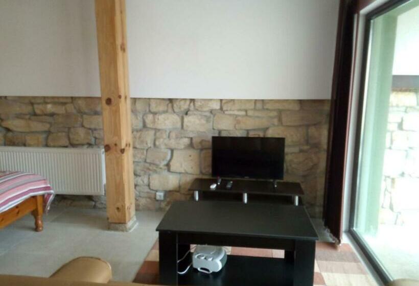 Номер Стандарт Трехместный, Studio Apartment In Palamartsa