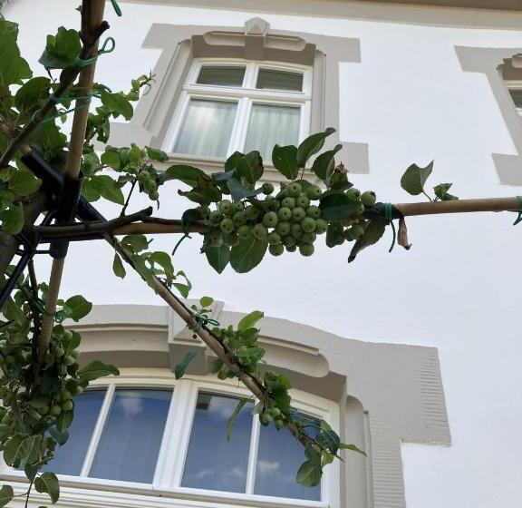 Апартаменты 1 Спальня с Террасой, Gästehaus Cantzheim