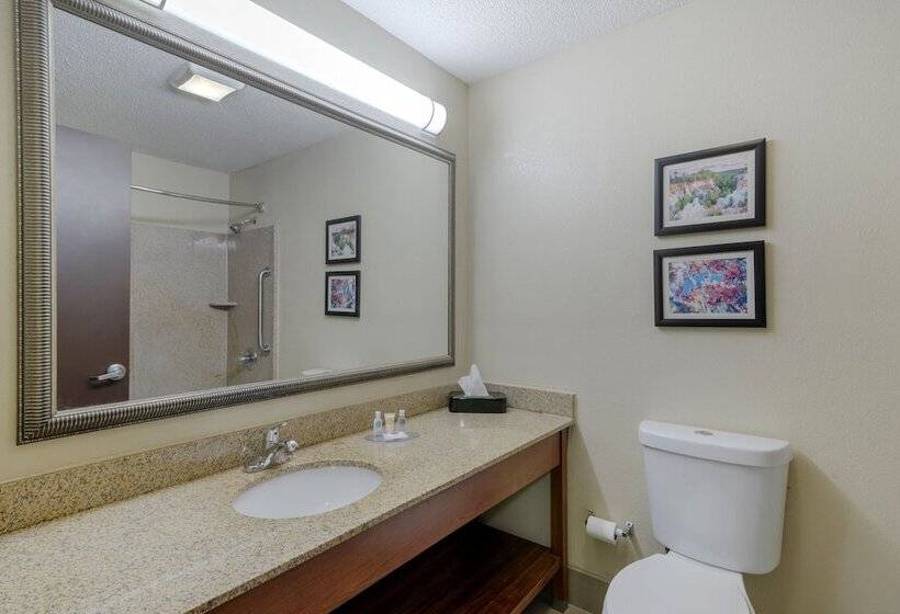 Lakosztály, Comfort Suites Columbus State University Area