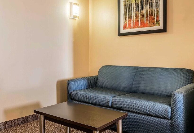 Люкс, Comfort Suites Miamisburg   Dayton South