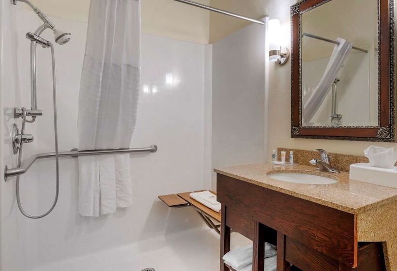 Люкс Адаптированный для Инвалидов, Comfort Suites Miamisburg   Dayton South