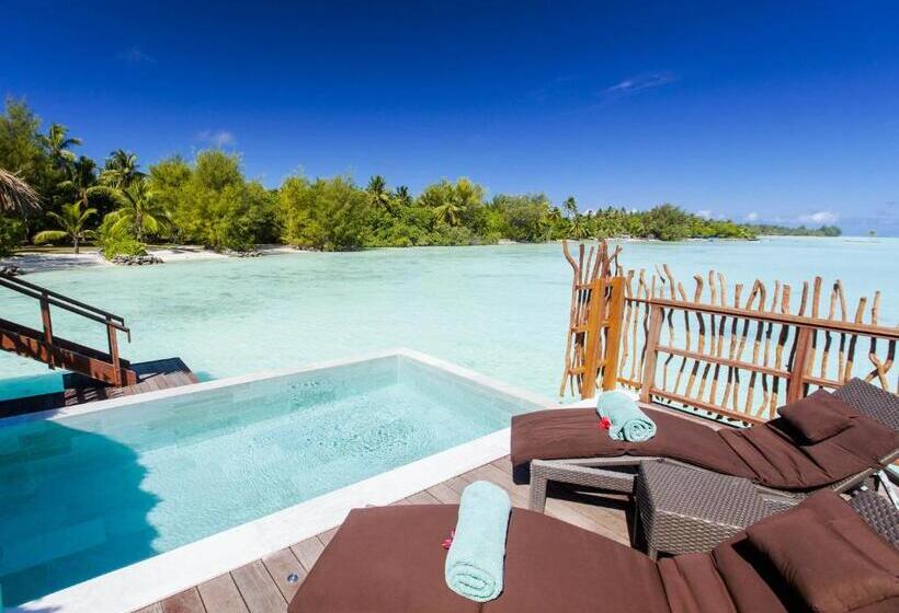 ویلای 1 خوابه, Intercontinental Bora Bora & Thalasso Spa, An Ihg