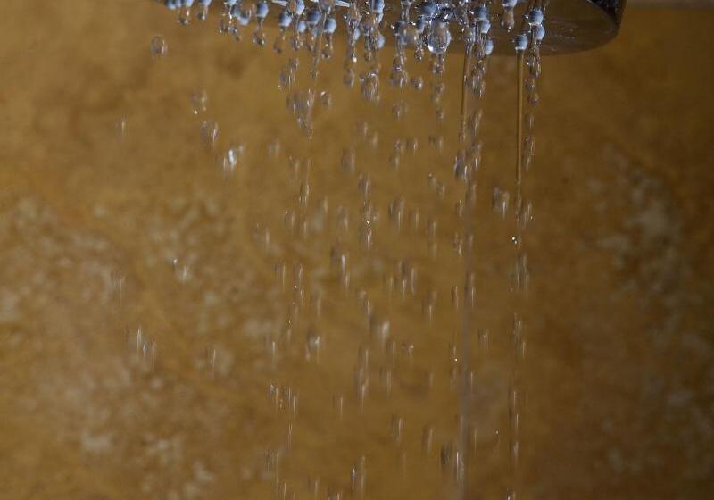 اتاق لوکس, Al Codega