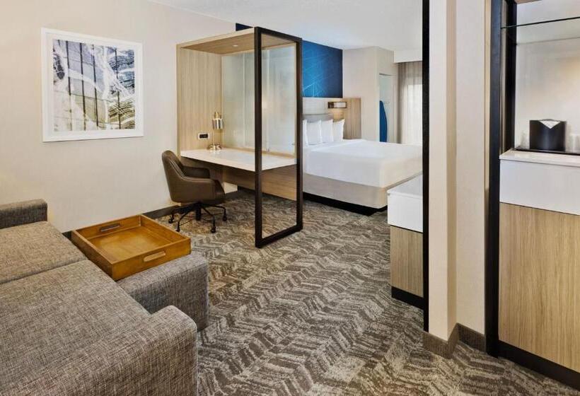 Студио Стандарт Кровать Кинг, Springhill Suites Birmingham Colonnade