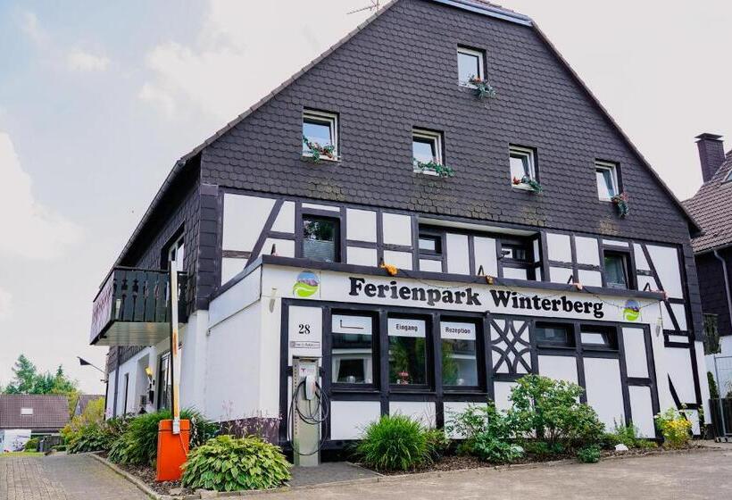 Семейные Апартаменты, Ferienpark Winterberg