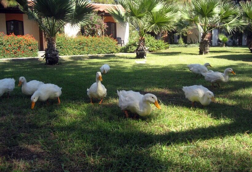 اتاق استاندارد, Denizati Holiday Village