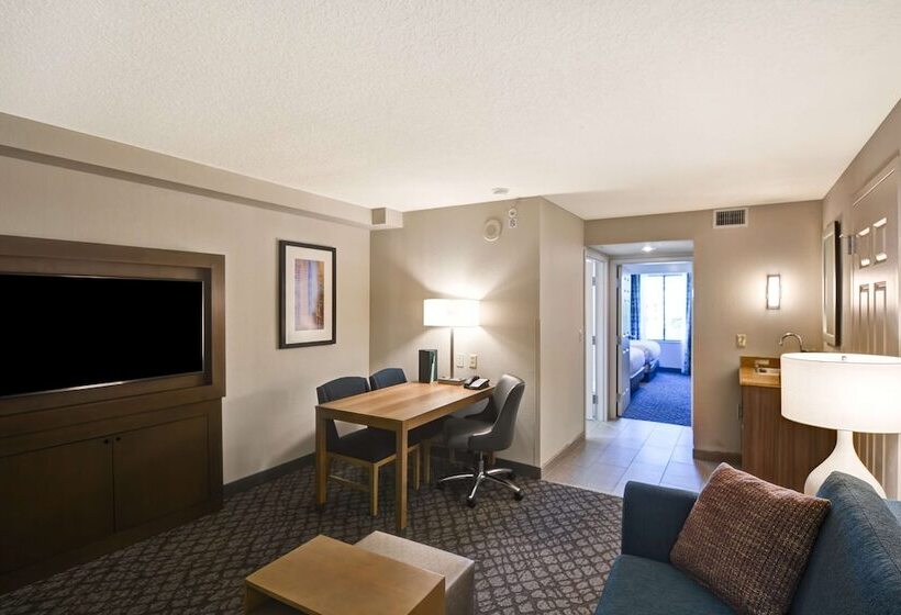 סוויטה, Embassy Suites By Hilton Orlando Downtown