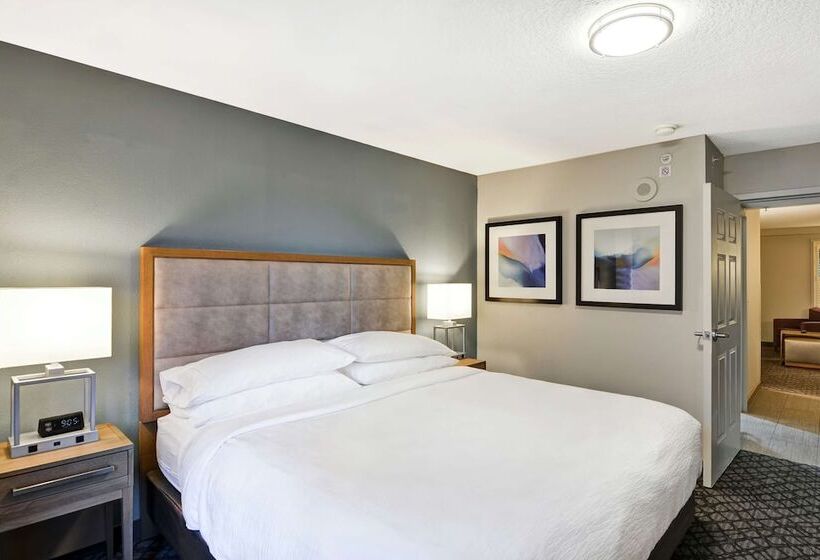 套房, Embassy Suites By Hilton Orlando Downtown