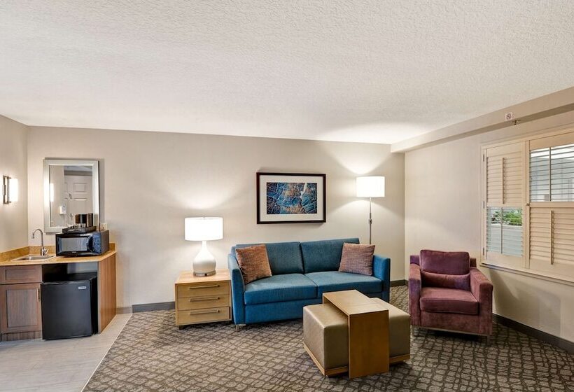 标准间带双人床, Embassy Suites By Hilton Orlando Downtown