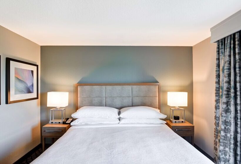חדר סטנדרט מיטה זוגית, Embassy Suites By Hilton Orlando Downtown