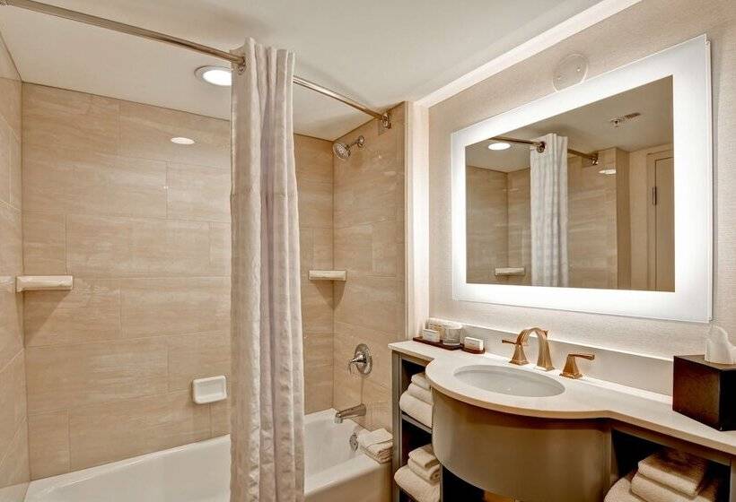 סוויטה נשיאותית, Embassy Suites By Hilton Orlando Downtown