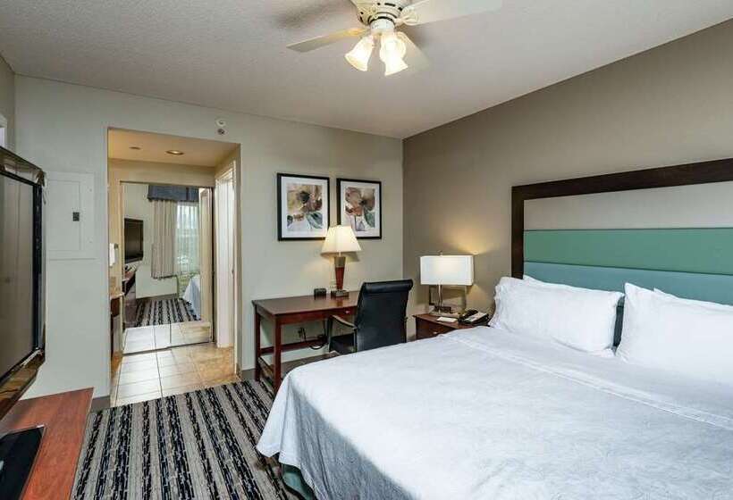 带大床的套房, Embassy Suites By Hilton Orlando Downtown