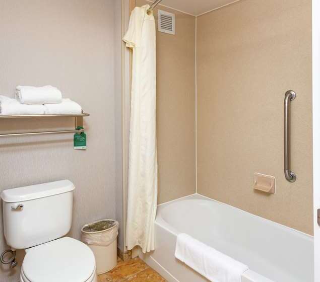 带大床的套房, Embassy Suites By Hilton Orlando Downtown