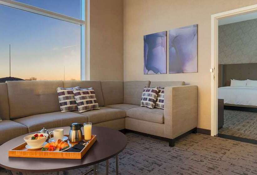 带大床的套房, Embassy Suites By Hilton Orlando Downtown
