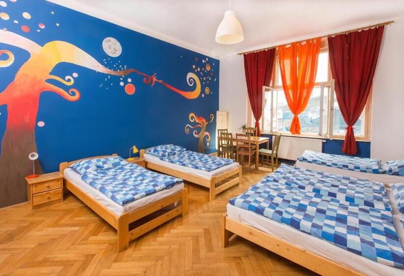 اتاق پنج‌تخته استاندارد, Hostel Downtown