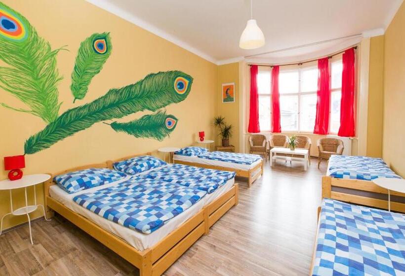 اتاق پنج‌تخته استاندارد, Hostel Downtown