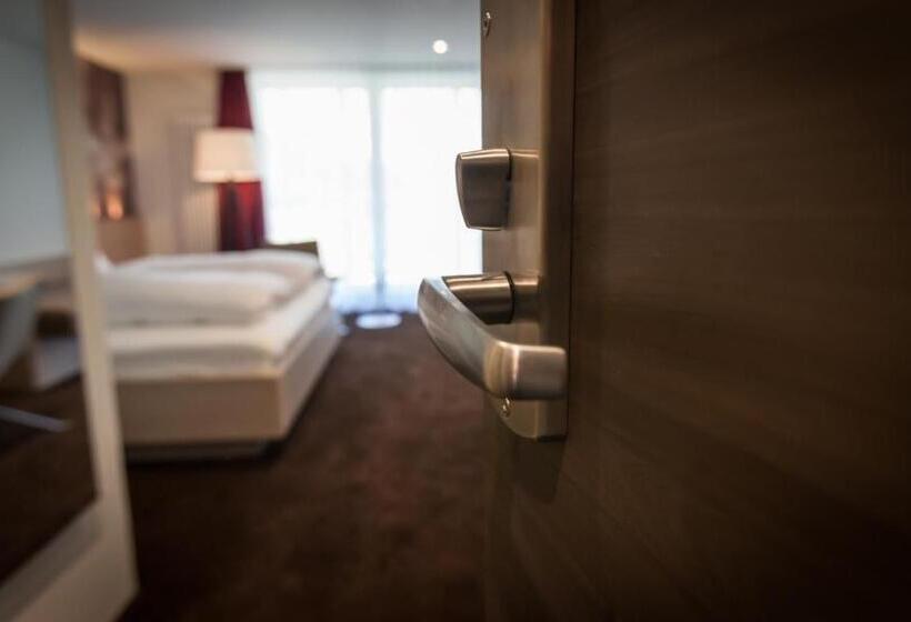 스탠다드 테라스 룸, Bollenhuthotel Kirnbacher Hof