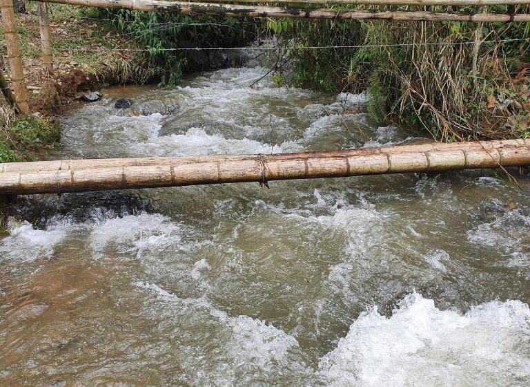غرفة عائلية, La Hogareña