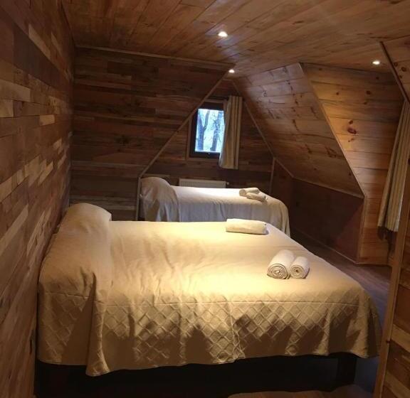 디럭스 룸, Lonquimay Lodge