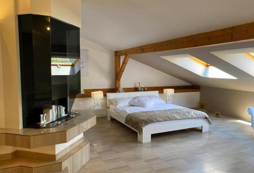 Студия Superior, Apart Hôtel Pont De Thielle