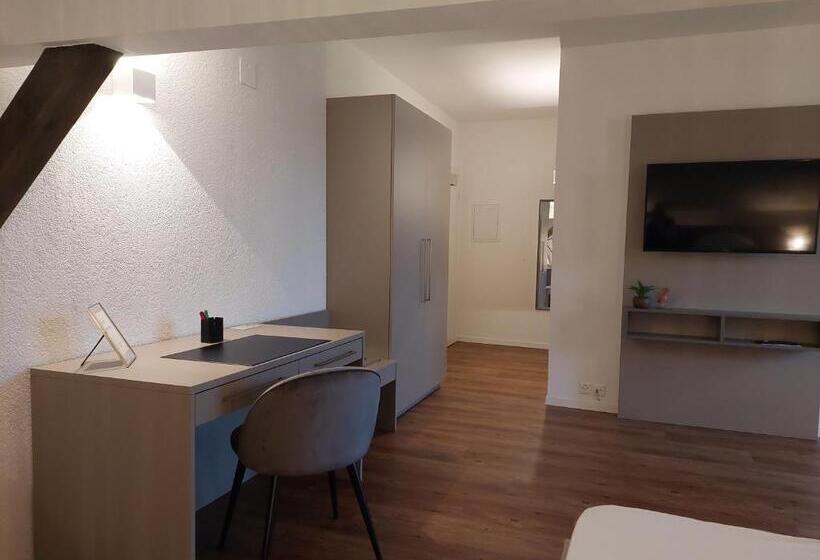 Студия Deluxe, Apart Hôtel Pont De Thielle
