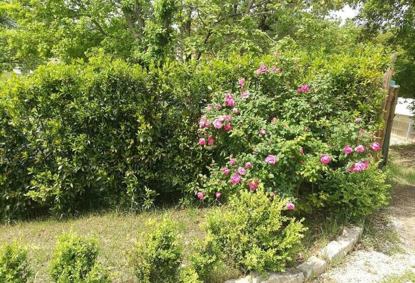 스탠다드 룸, Camera Matrimonialedoppia Con Balcone Vista Piscina