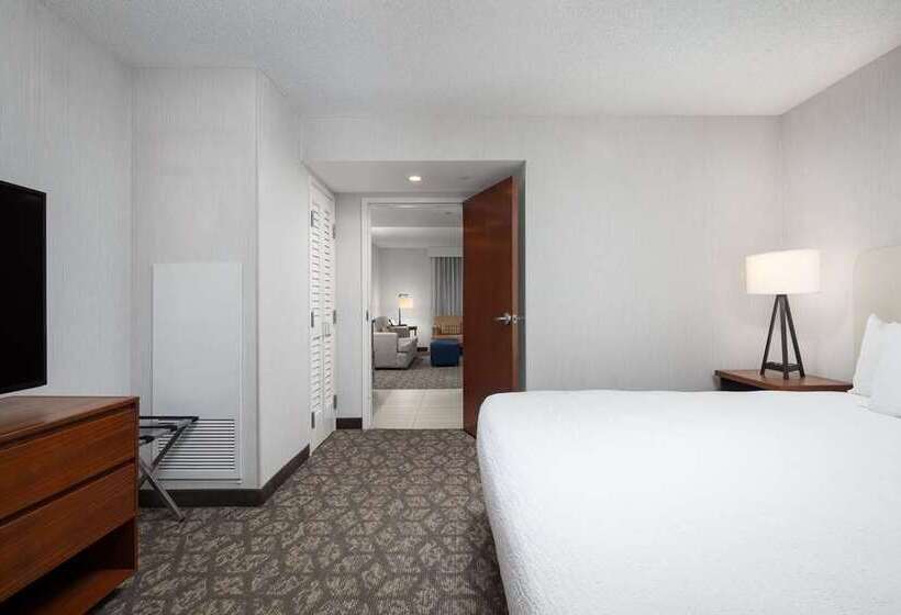 Suite King Size Seng, Embassy Suites By Hilton E Peoria Riverfront Conf Center