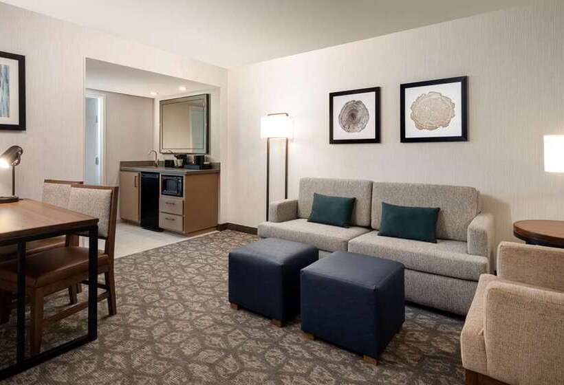 Suite King Size Seng, Embassy Suites By Hilton E Peoria Riverfront Conf Center