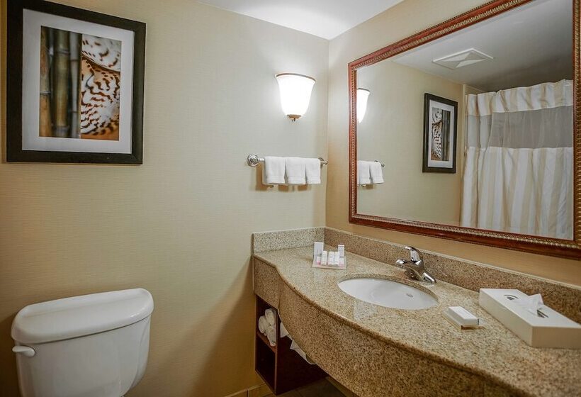스탠다드 룸 더블 침대 2개, Hilton Garden Inn Kankakee