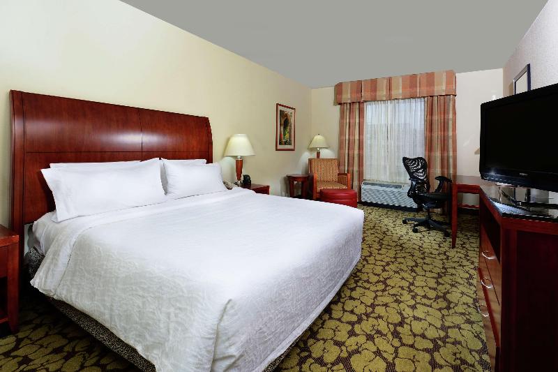Standard Værelse King Size Seng, Hilton Garden Inn Raleigh Capital Blvd I540