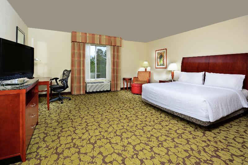 Standard Værelse King Size Seng, Hilton Garden Inn Raleigh Capital Blvd I540