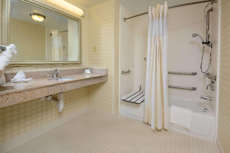 Standard Værelse King Size Seng, Hilton Garden Inn Raleigh Capital Blvd I540