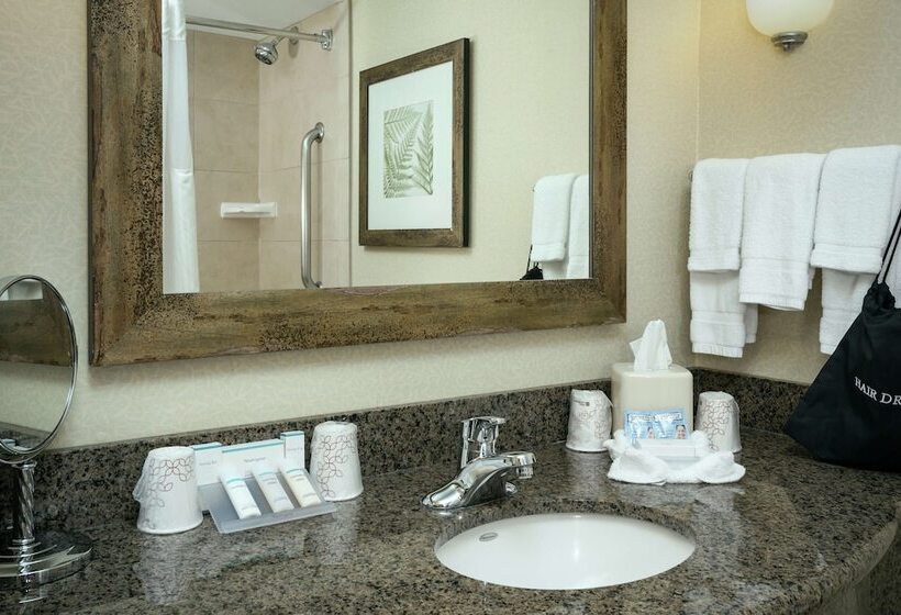 Номер Стандарт 2 Двуспальные Кровати, Hilton Garden Inn Seattle  Issaquah