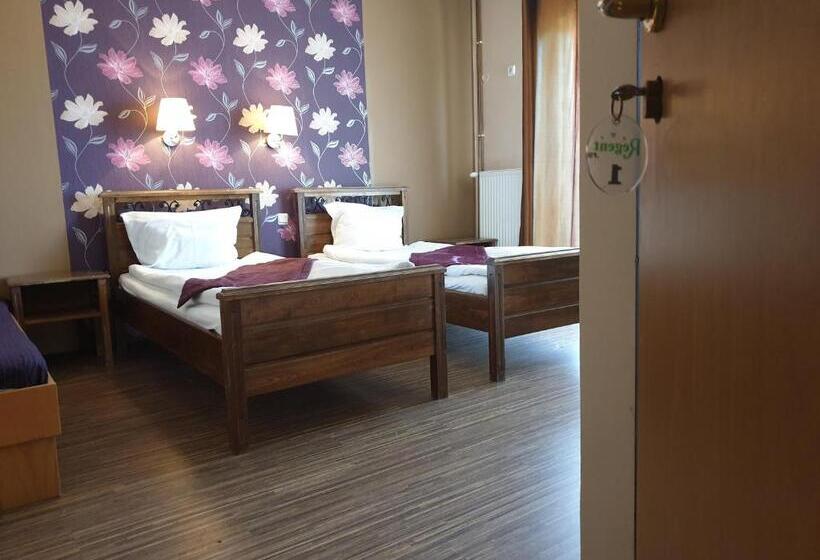 Трехместный Номер Базовый, Pension Regent Green Leaf