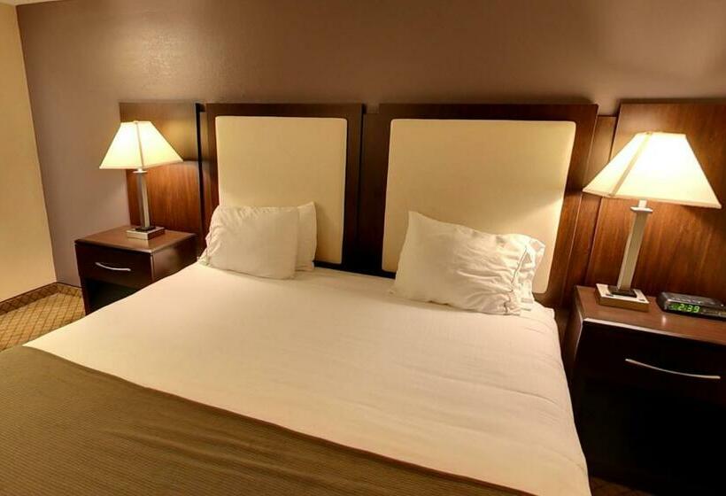 스탠다드 룸 킹사이즈 침대, Holiday Inn Express Hotel & Suites Blythewood, An Ihg