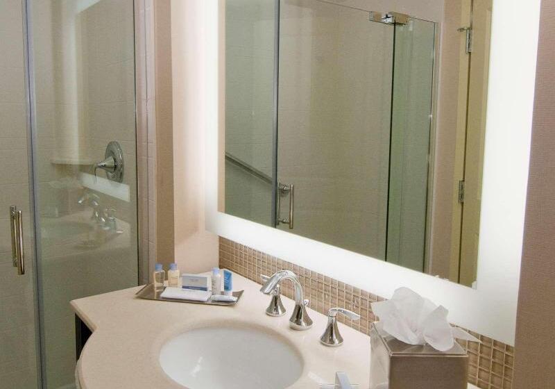 이그제큐티브 룸 킹사이즈 침대, Doubletree By Hilton  Sterling  Dulles Airport